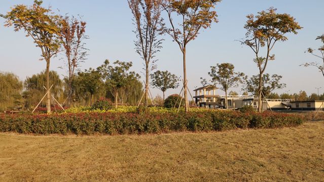 Gannan County Shuoxiang Lake Wetland Park