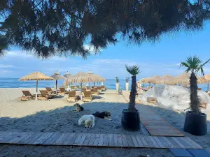 Skotina Beach
