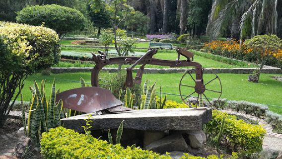 Jardín Botánico Martín Cárdenas
