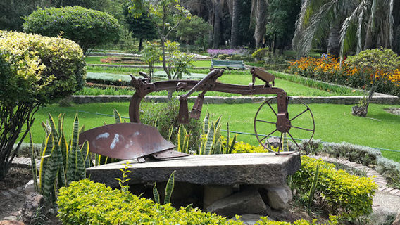 Jardín Botánico Martín Cárdenas