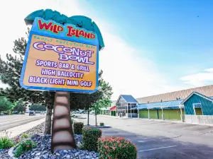 Coconut Bowl at Wild Island