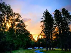 Balmoral Recreation Reserve Camping Ground