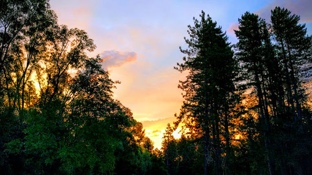 Balmoral Recreation Reserve Camping Ground
