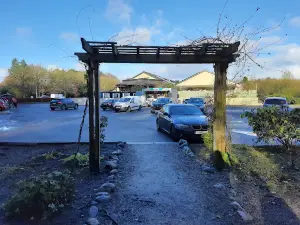 Abbeyleix Bog Project