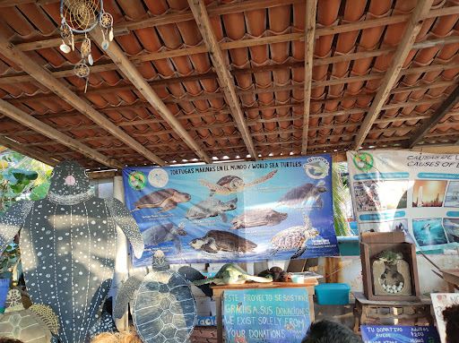 Campamento Tortuguero Ayotlcalli