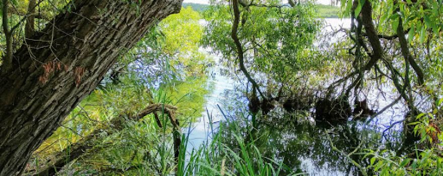 Lebrade Pond Bird Sanctuary
