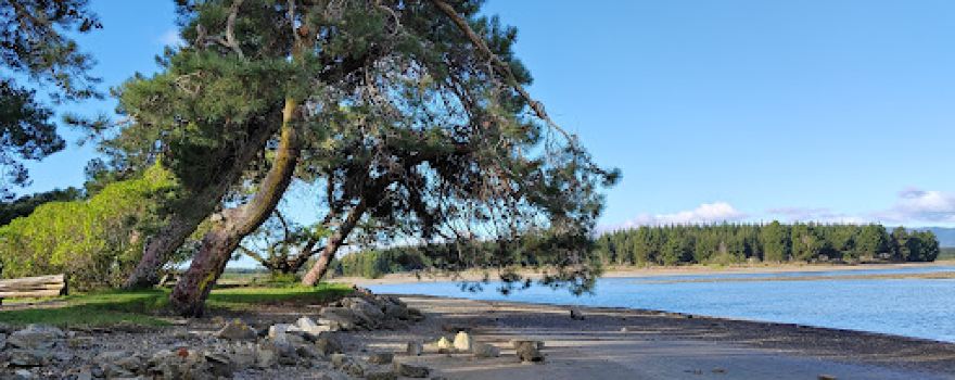 Grossi Point Reserve