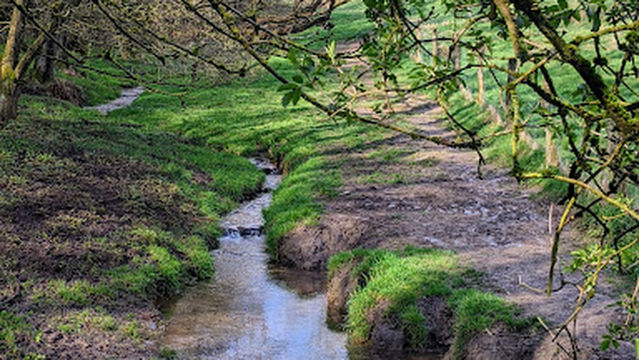 Naherholungsgebiet Scharpenacken