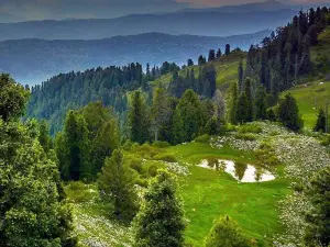 Ayubia National Park