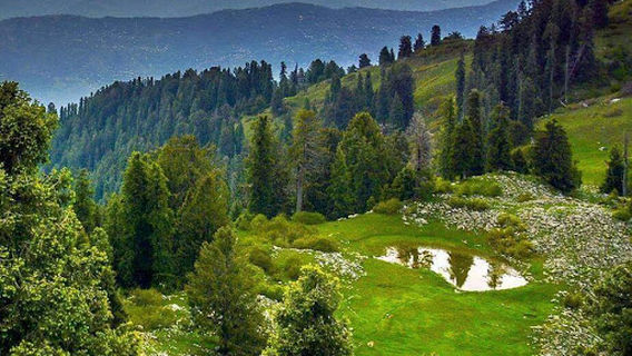 Ayubia National Park