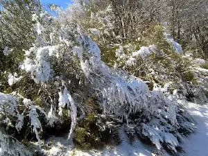Tejeda de Tosande