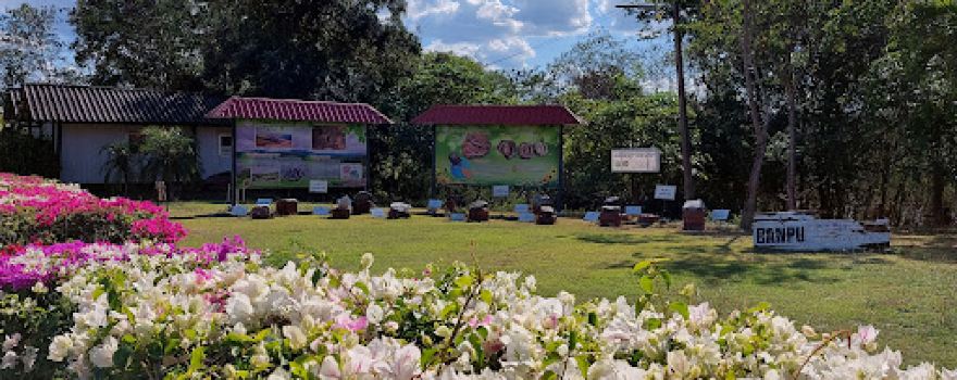 Lake Viewpoint Chiang Muan