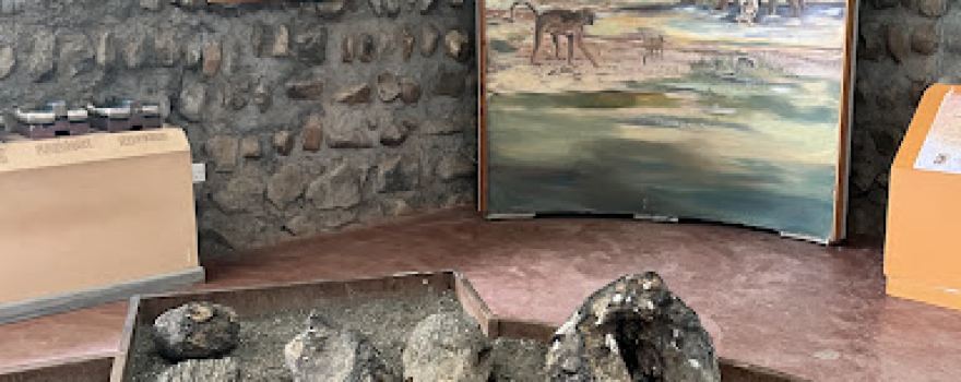 Kariandusi Museum