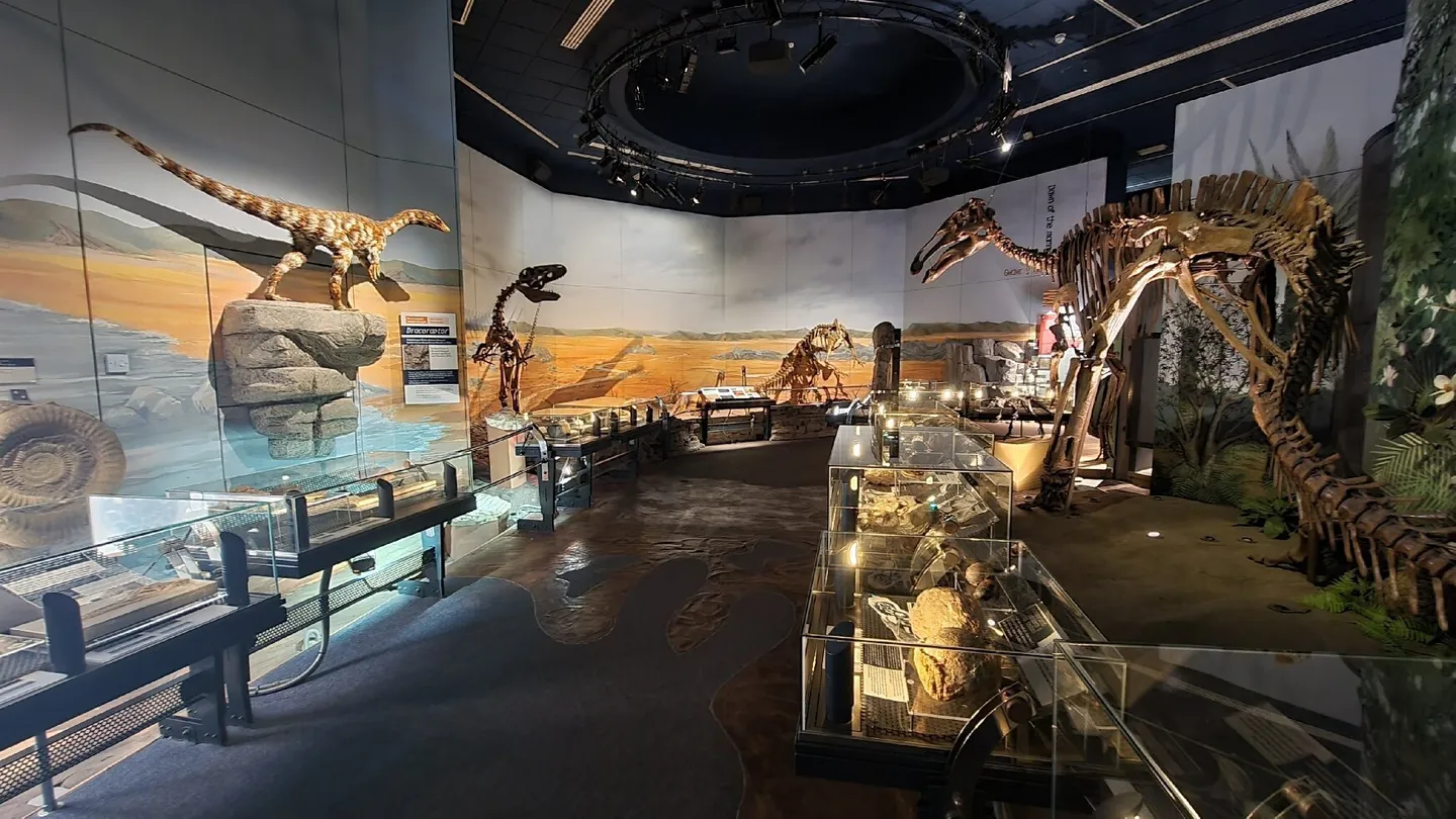 5_National Museum Cardiff