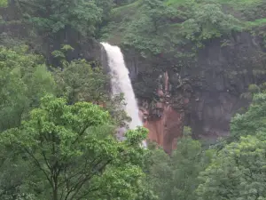 Radhanagari Wildlife Sanctuary