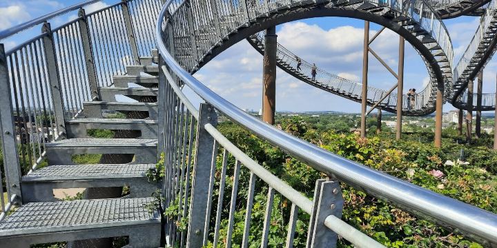 Tiger & Turtle
