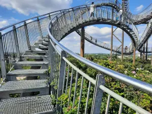 Tiger & Turtle