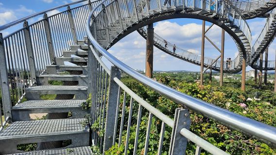 Tiger & Turtle