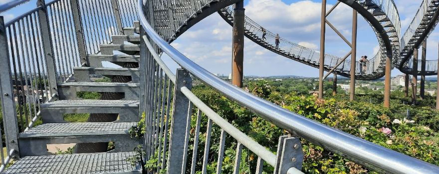 Tiger & Turtle
