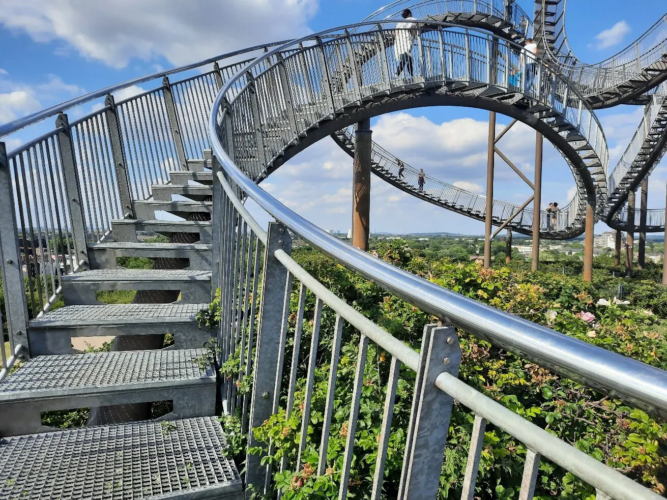 Tiger & Turtle