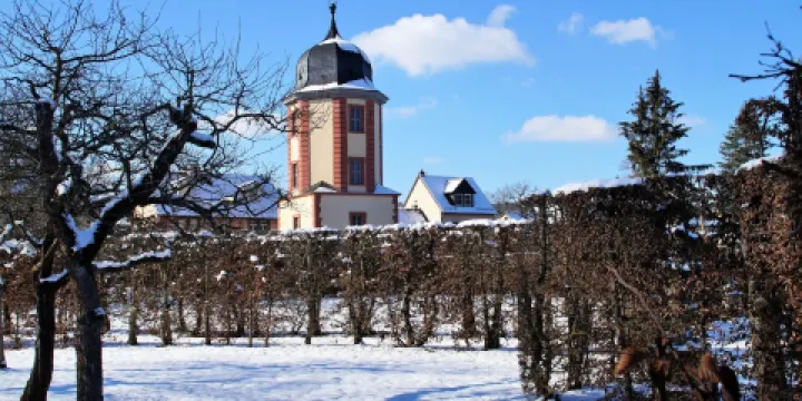 Veitshochheim Schloss