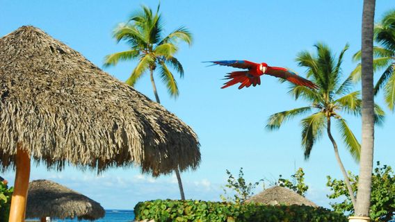 Punta Cana