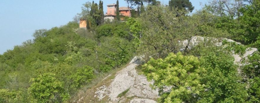 Parco dei Gessi Bolognesi