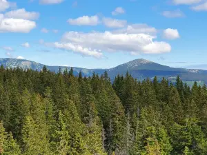 Černá Hora Lookout