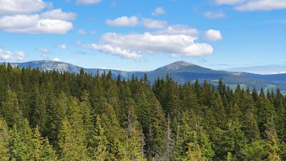 Černá Hora Lookout