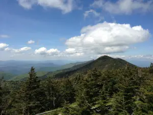 Mt Mitchell