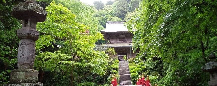 Unganji