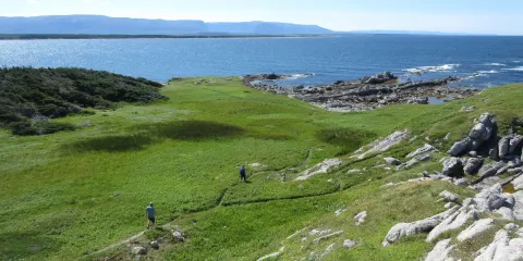 Cow Head Lighthouse