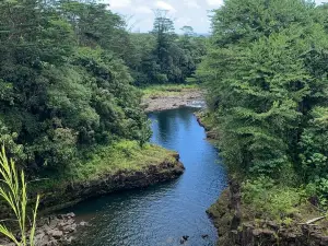 瓦伊魯庫河州立公園