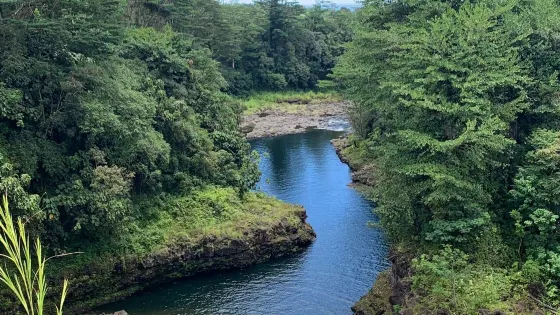 瓦伊魯庫河州立公園