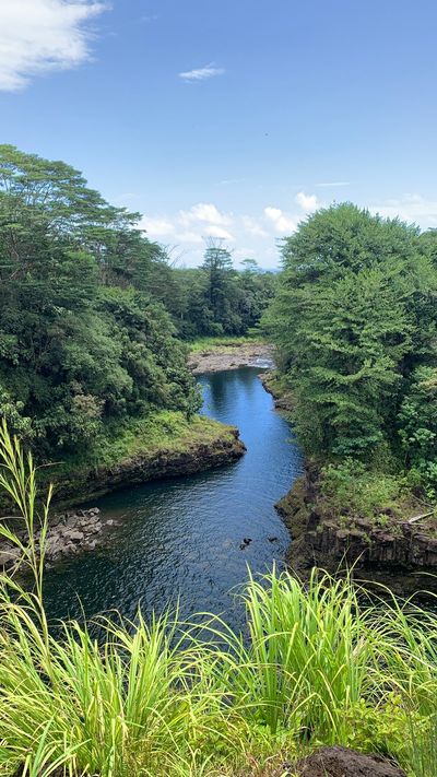 ワイルク・リバー州立公園