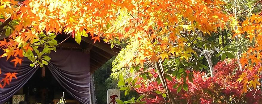 Iyama Hofukuji Temple