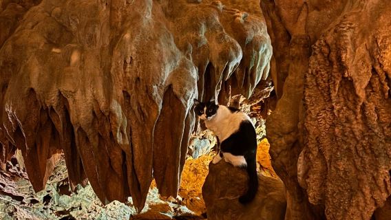 Damlataş Cave