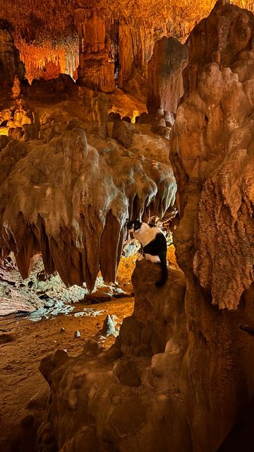 Damlataş Cave
