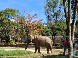 Parque Zoologico Municipal Quinzinho De Barros