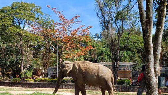 Parque Zoologico Municipal Quinzinho De Barros