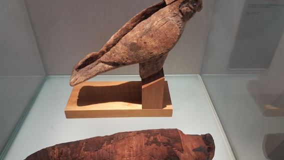 Roemer and Pelizaeus Museum