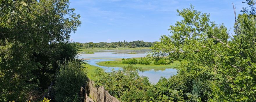 Riserva Naturale Regionale della Foce dell'Isonzo Isola della Cona