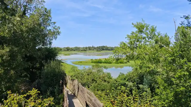 Riserva naturale della Foce dell'Isonzo