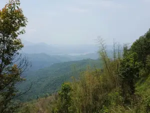 Doyang River