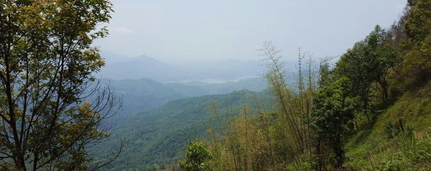Doyang River