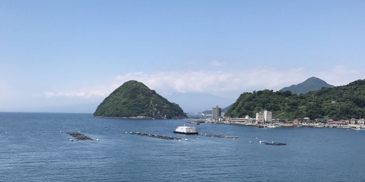 Suruga Bay Deep Sea Life Museum