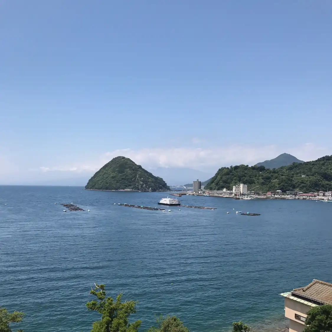 Hotels near Suruga Bay Deep Sea Life Museum
