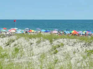 Cupsogue Beach County Park
