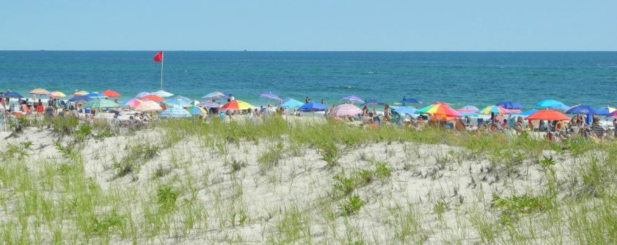Cupsogue Beach County Park
