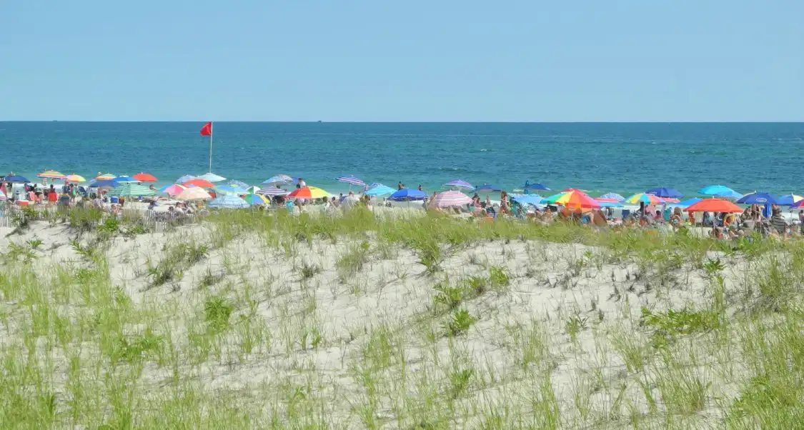 Hotels near Cupsogue Beach County Park
